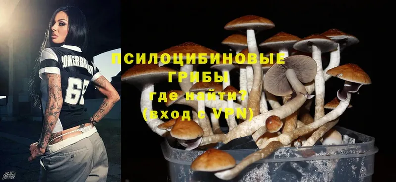 цена наркотик  Кологрив  Галлюциногенные грибы MAGIC MUSHROOMS 